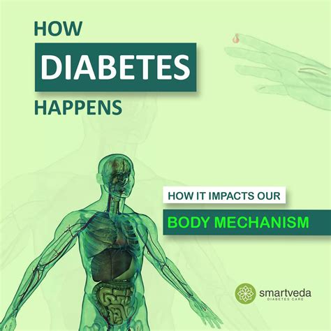 How Diabetes Happens – How it Impacts Body Mechanism – Smartveda
