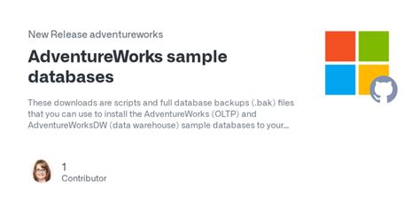 Download AdventureWorks 2019 Sample Databases 的图像结果