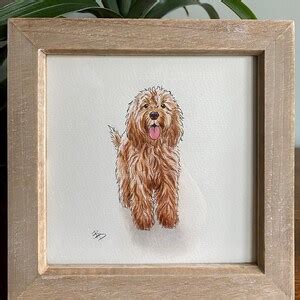 Image result for Hand Drawn Cockapoo