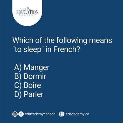 Show your French fluency with the French quiz | The Education Academy ...