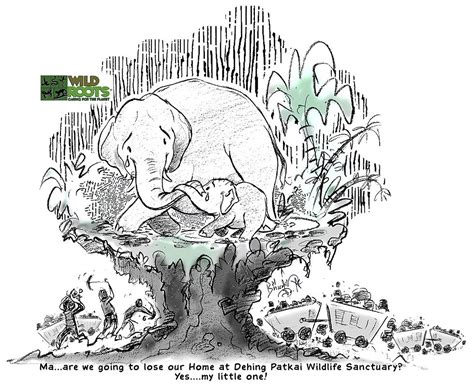 Dehing Patkai - the Rainforest of Assam in Peril