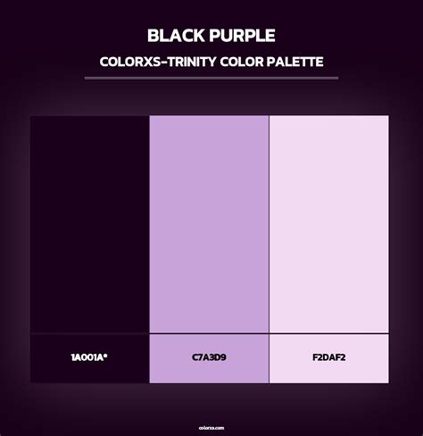 Black Purple color palettes - colorxs.com