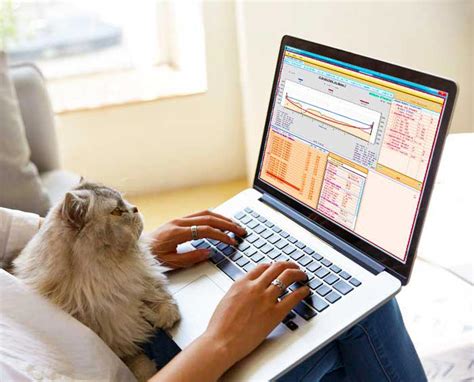 Net Chart Control 的图像结果