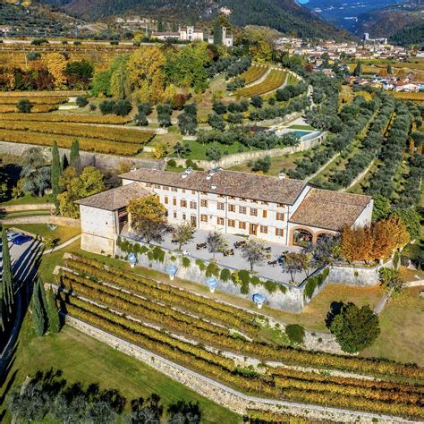 UGOLINI VINI (2026) All You Need to Know BEFORE You Go (with Photos ...