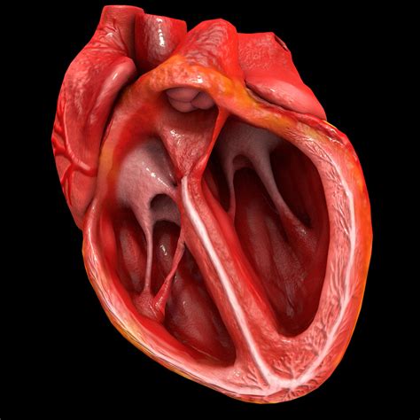 Image result for Heart with Name Using Python