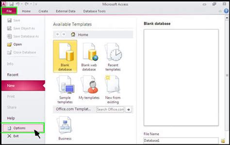 Programming Access 2010 for Beginners 的图像结果
