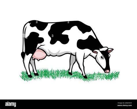 One black white cow Stock Vector Images - Alamy