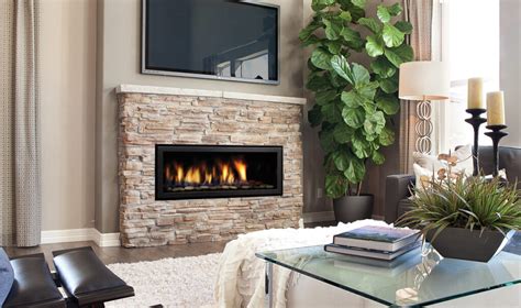 Image result for Gas Log Inserts