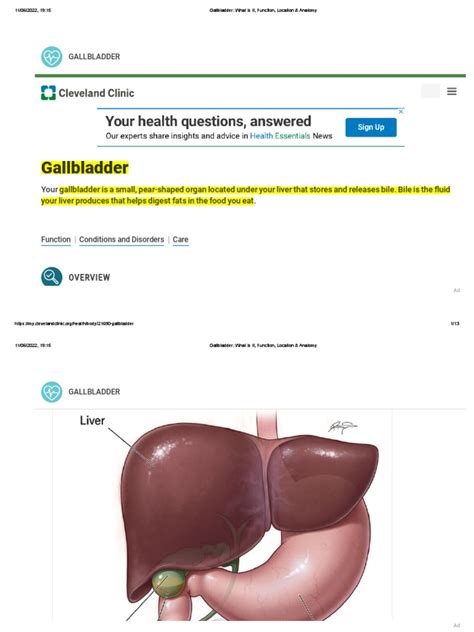 Image result for Normal Gallbladder Function