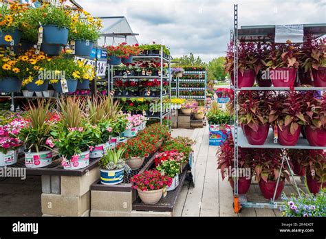 Image result for Lowe's Flower Garden