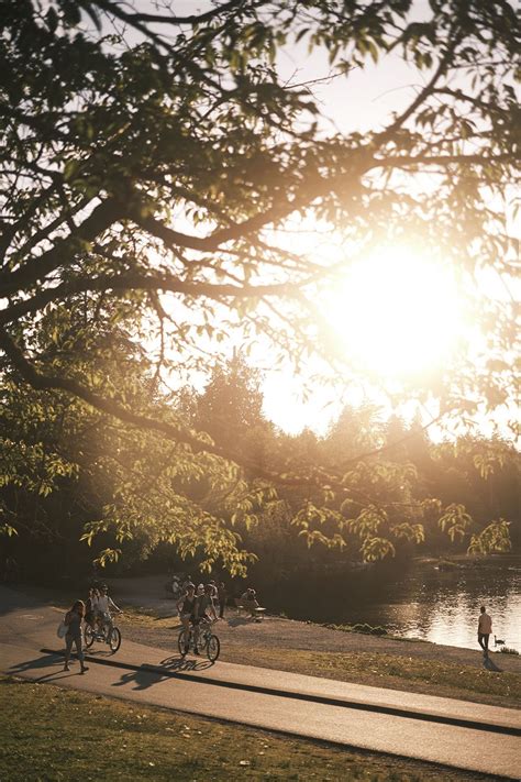 Image result for Camera Diffusion Filter