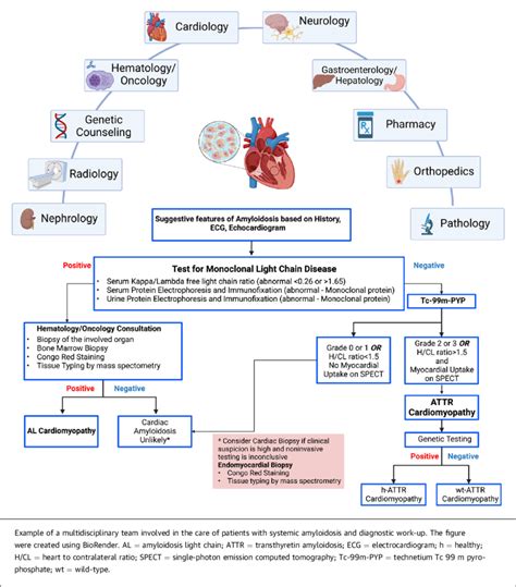 Image result for Multidisciplinary Team Approach for ADHD