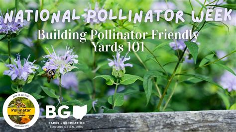 Building Pollinator Friendly Yards 101, Wintergarden/St. John's Nature ...