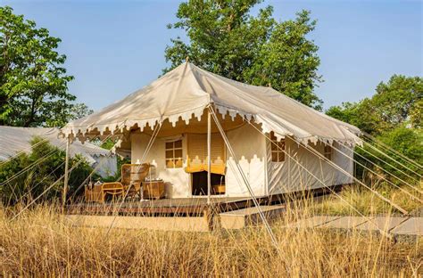 Call Of The Wild Is Taking The Whole Glamping Experience To A New Level ...