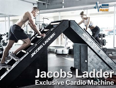 Image result for Ladder Cardio Machine