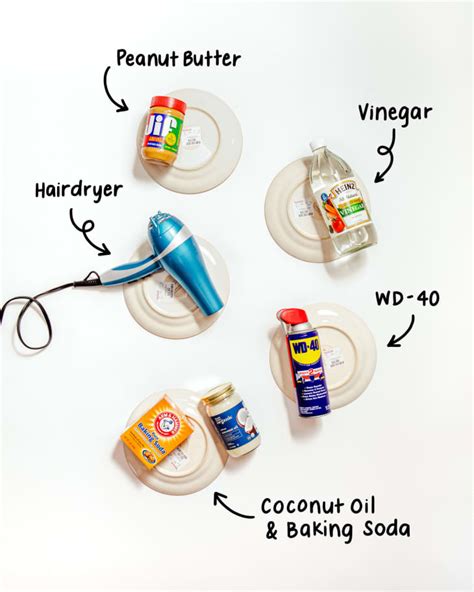 Sticker Removal Tips 的图像结果