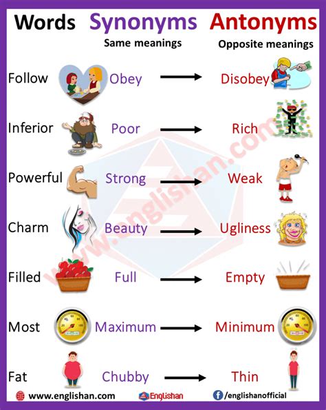 Synonym Definition 的图像结果