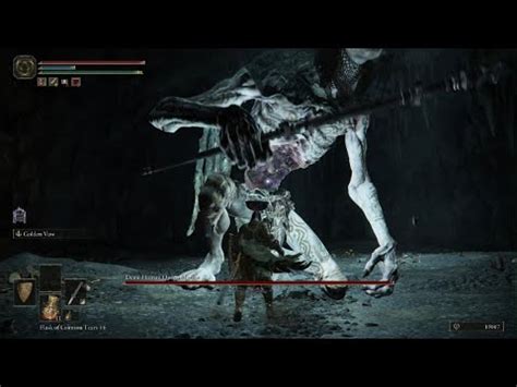 Demi-Human Queen Margot — Elden Ring - YouTube