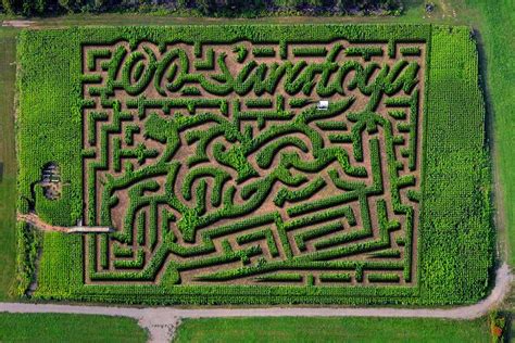 Corn Maze 的图像结果
