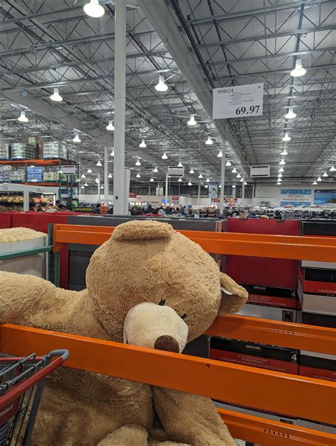 Giant stuffed bear costco online