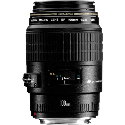 Buy Canon EF 100mm f/2.8 Macro USM Lens in Telephoto lenses — Canon UK ...