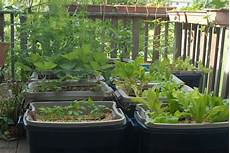 Garden In Containers by Tips For Starting An Apartment Garden Garden In Containers