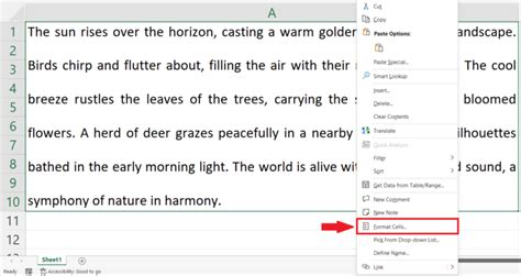 How to Do Line Spacing in Excel 的图像结果