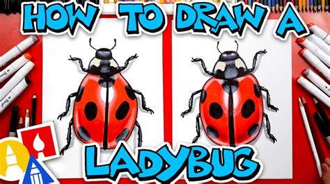 Step by Step Drawing Insects 的图像结果