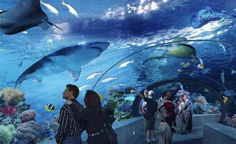 2023芜湖新华联大白鲸海洋公园游玩攻略,不愧是大白鲸主题的海洋公园...【去哪儿攻略】