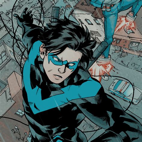 Nightwing Btas 的图像结果