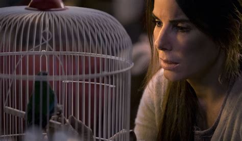 Netflix is still begging people to stop doing the 'Bird Box' challenge ...