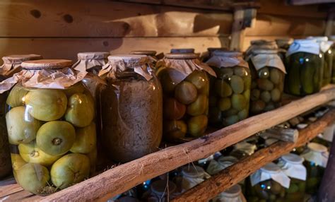 Off-Grid Septic System DIY 的图像结果