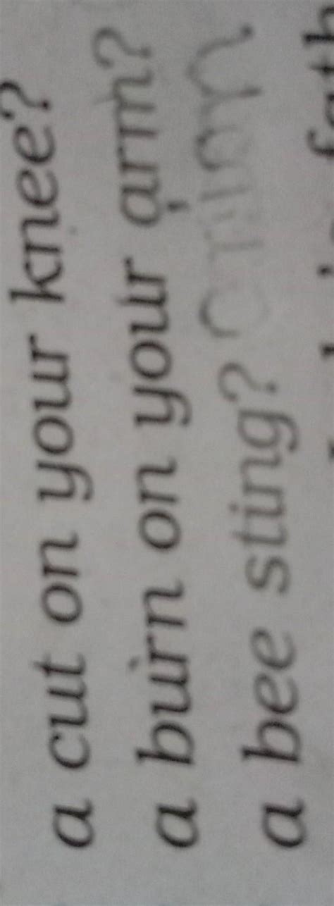 what is the answer of this - Brainly.in