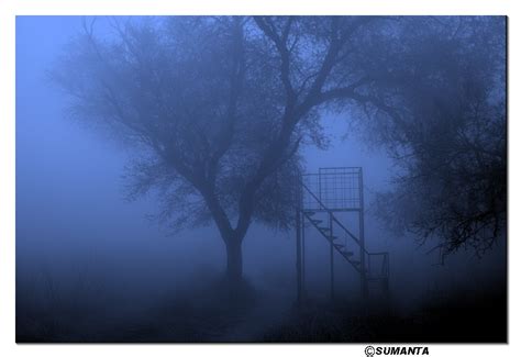 go2india.in : Sultanpur in a misty morning