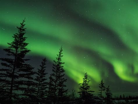 The Live Cam That Shows You The Emerald Northern Lights Is Back! - Science