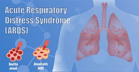 MRE Press - Medical Research Exploration