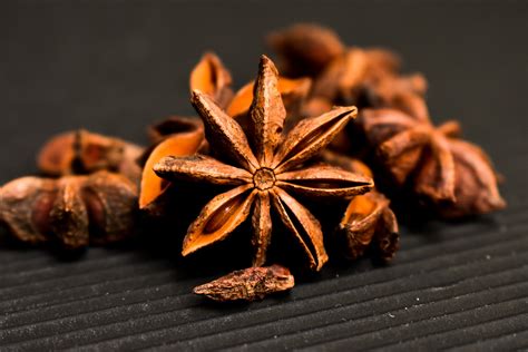 What Is The Spice Star Anise at Eva Timmins blog
