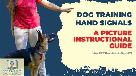 Image result for Service Dog Hand Signals