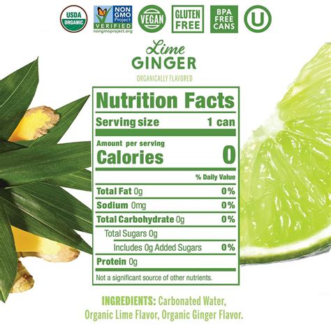 Nixie Sparkling Water, Lime Ginger,12 fl oz Cans, 24 Pack | Premium ...