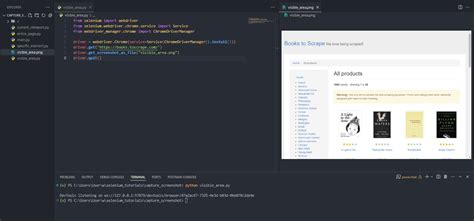 Image result for Python Selenium Scope