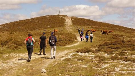 Projeto Raizes (Cabeceiras de Basto) - 2022 What to Know Before You Go ...