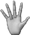 3D Hand Motion Generation for VR Interactions Using a Haptic Data Glove