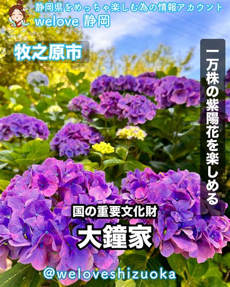 Image result for mm Computer Guide