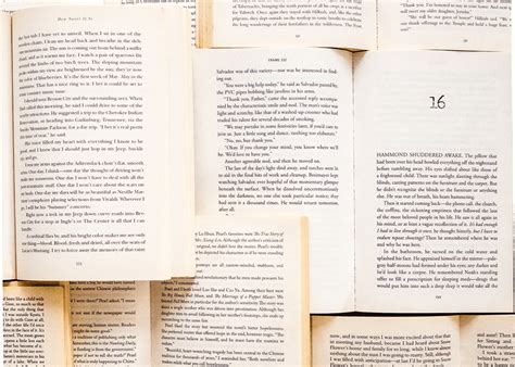 Image result for Picture without Text High Quality