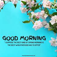 Image result for Good Morning Spring Bunnies