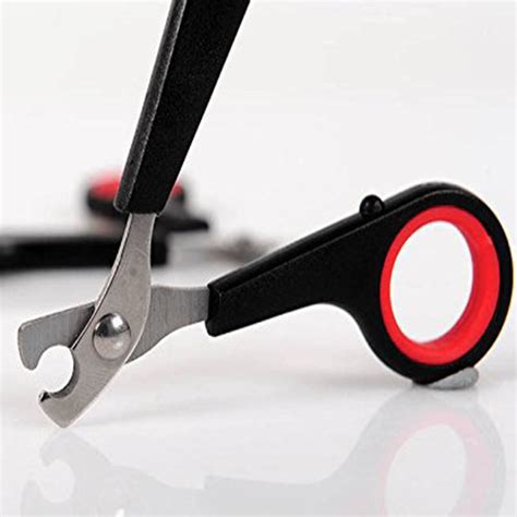 Parrot Nail Clippers, Bird Claw Feather Trimmer, Nail Clipper For ...