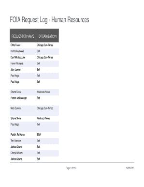 Fillable Online FOIA Request Log - Human Resources - City of Chicago ...