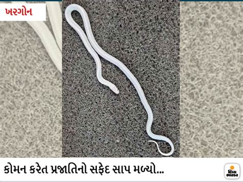 Migrant workers wait for food at the quarantine center, ration packets ...