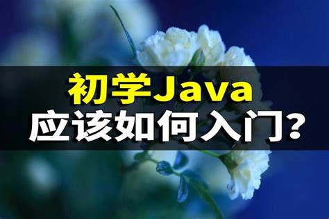 Java Einfuhrung 的图像结果