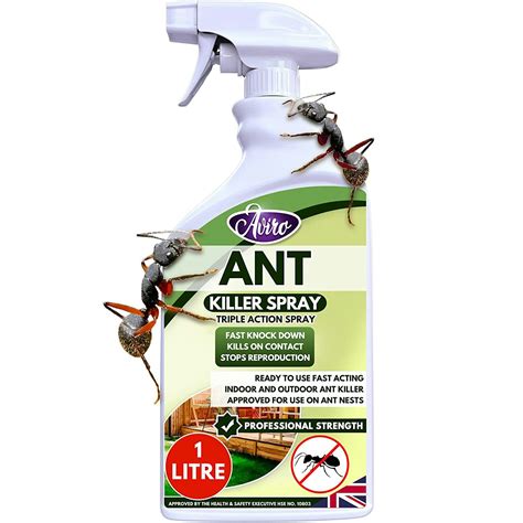 The Best Ant Killer